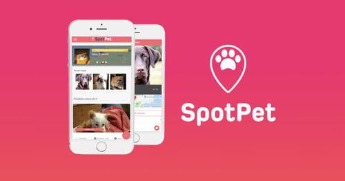 Spotpet, una aplicación colaborativa para ayudar a mascotas perdidas