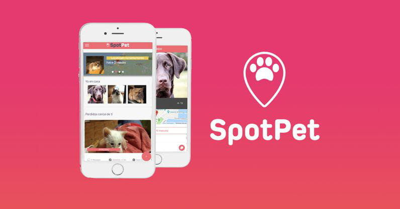 Spotpet, una aplicación colaborativa para ayudar a mascotas perdidas