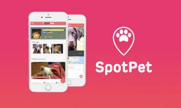Spotpet, una aplicación colaborativa para ayudar a mascotas perdidas